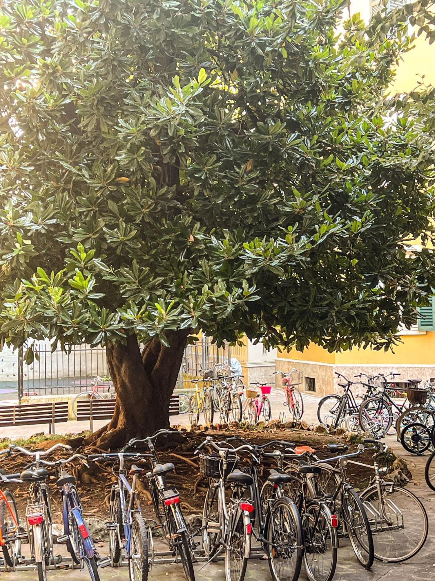 Divini Gae Aulenti Apartamento Milão Exterior foto